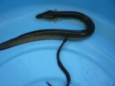 P1060134